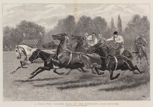 Carrera de tándem de ponis de polo en los terrenos del Club Ranelagh